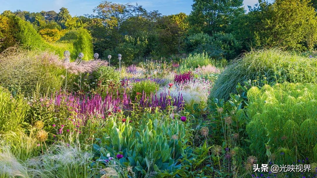 国际花园摄影大赛图片,那些美丽的花园