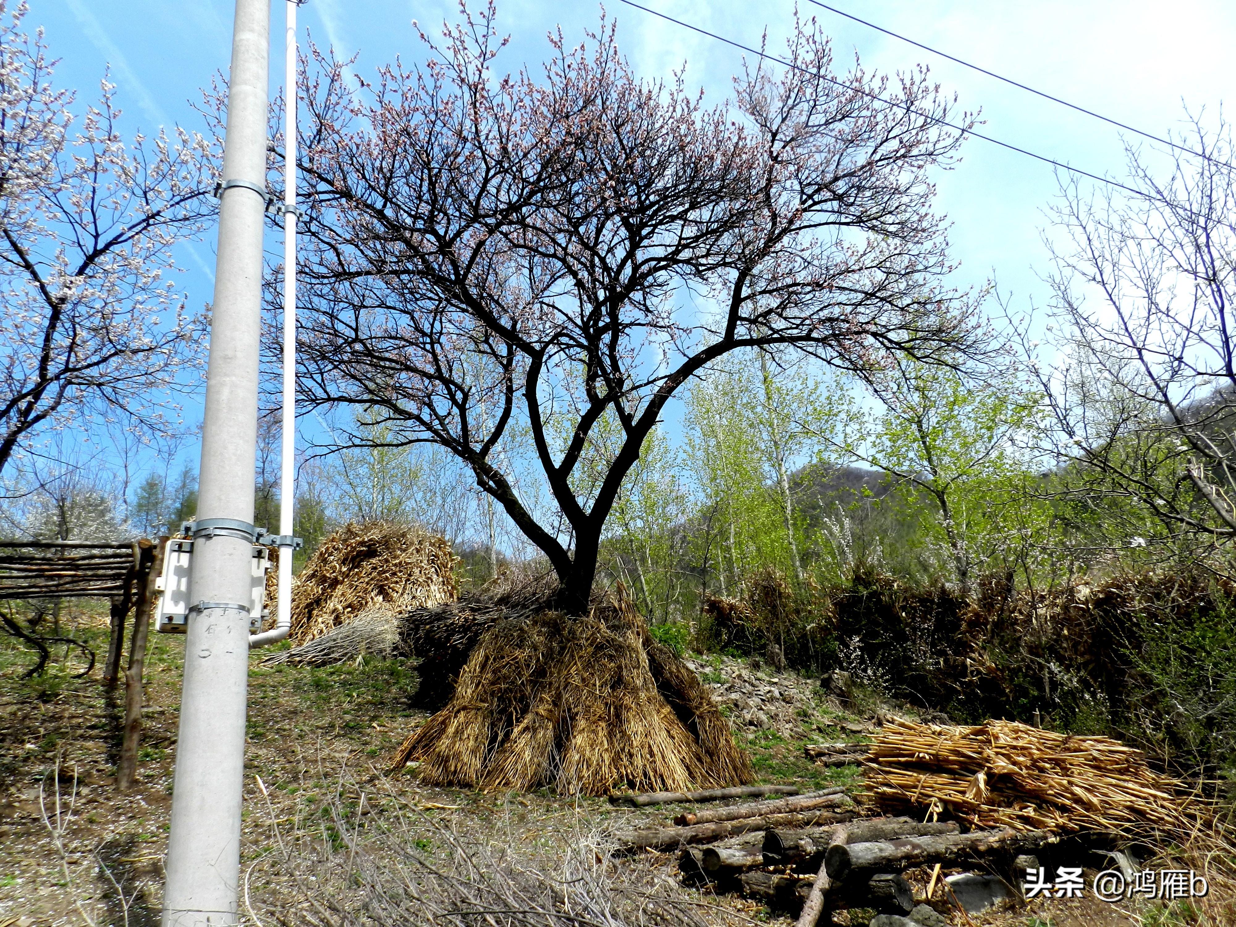 本溪小众秘境,本溪神秘山村