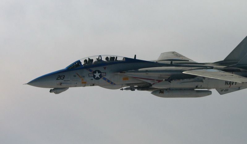 猫迷必备技能,F-14各型号的辨别