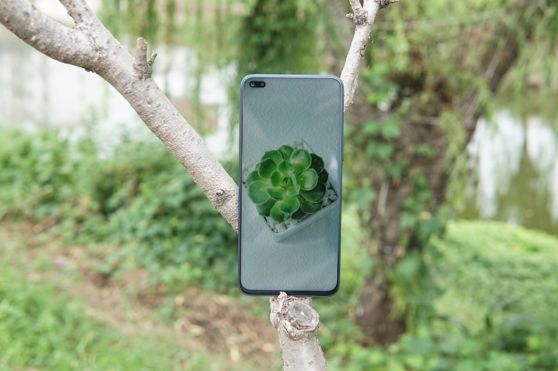 荣耀x20升级magicui5.0升级名单,荣耀x20升级magic6.0