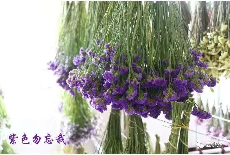 一间小小的花店，透出80后创业者的不凡思维--胡姐花艺
