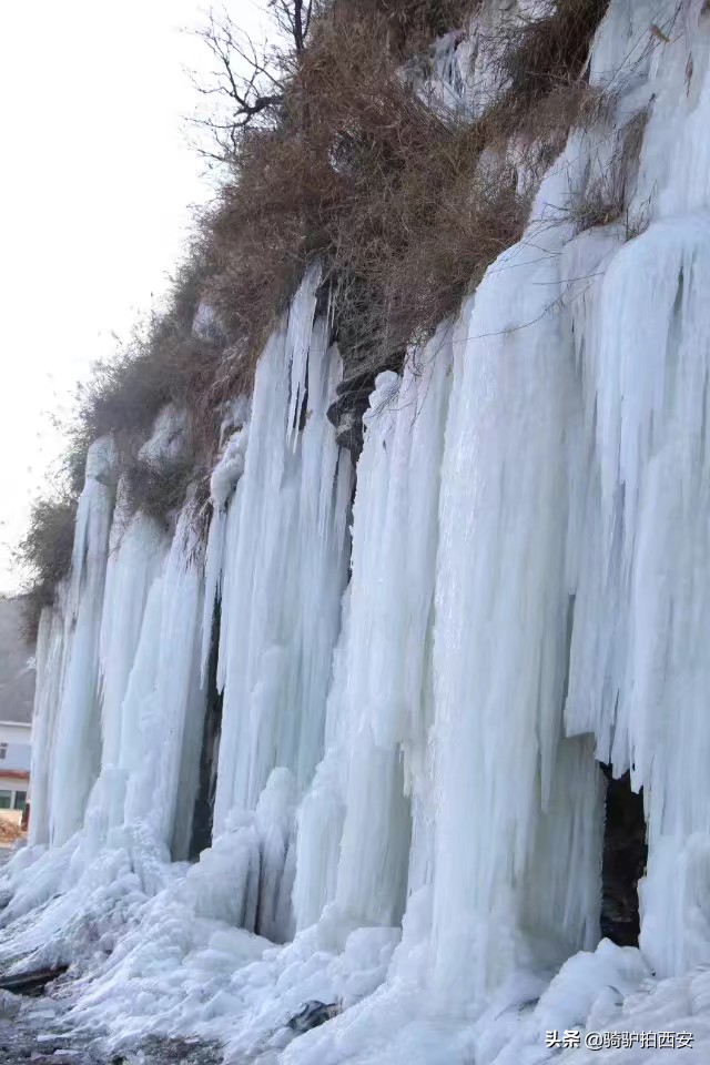 长武水库,长武水库最新消息