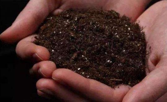 分解土壤固化物质,酸性土壤如何解磷解钾