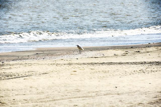 寻找澳门的最后一条净土澳门黑沙滩体验不一样的澳门