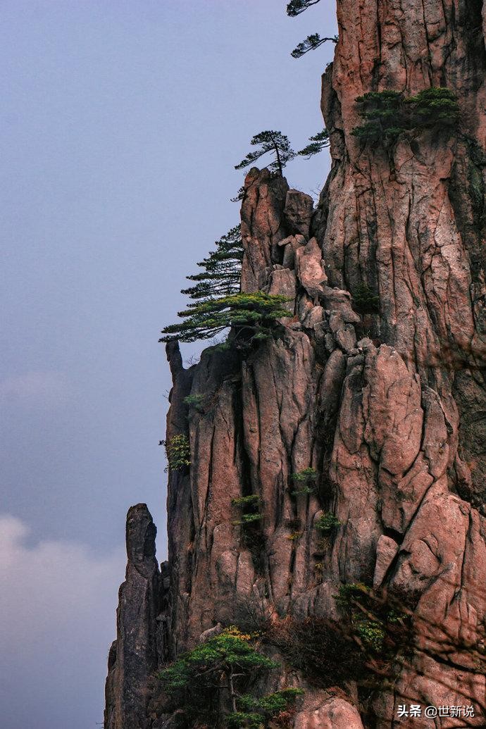 云雾缭绕的黄山真的很美,三上黄山