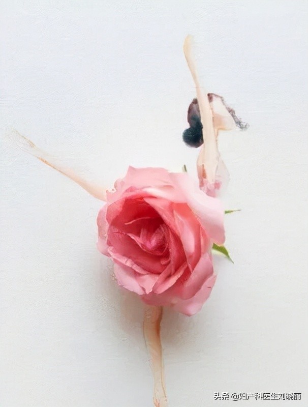 人流后吃什么补身体快,做无痛人流后吃什么比较补身子