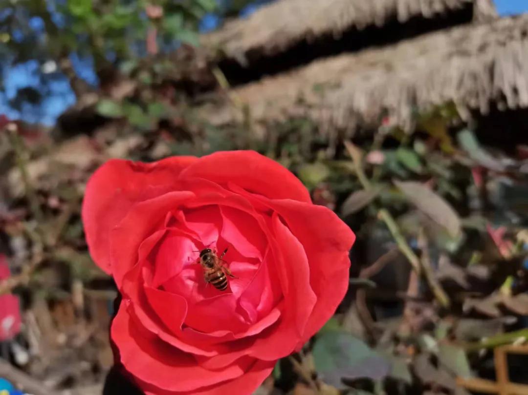 行走｜物华天宝宝华山