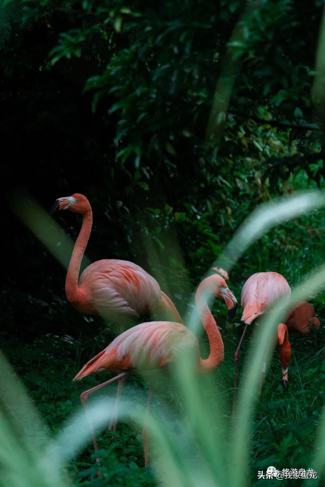 100张照片一百种幸福,100张图片带你去云南