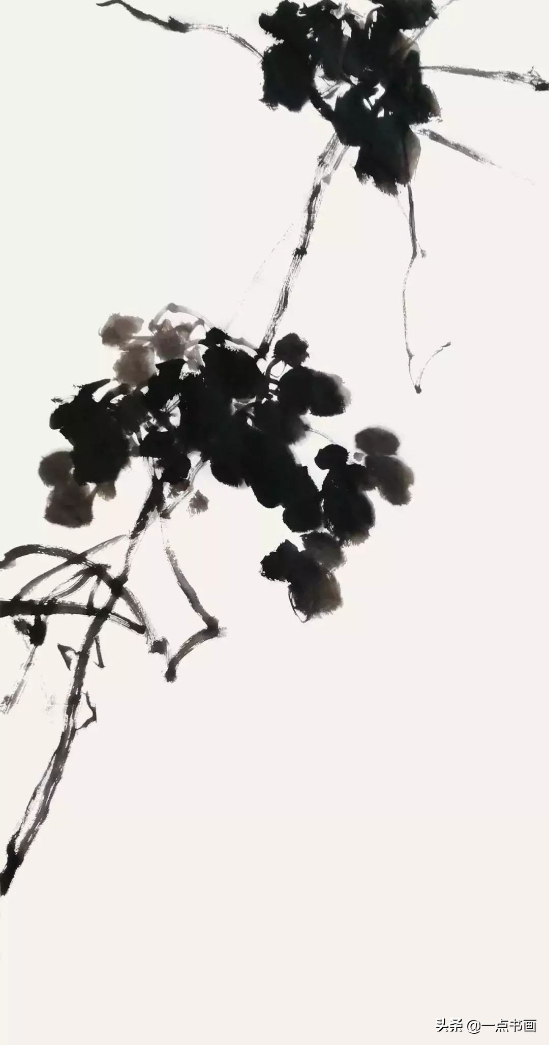 国画技法写意牡丹配山石创作示范,4尺竖幅写意葡萄国画欣赏