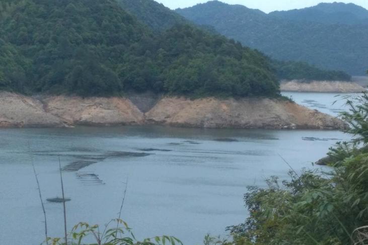 鱼塘养鱼的正确养殖方法有哪些,承包水库养鱼经济效益怎么样