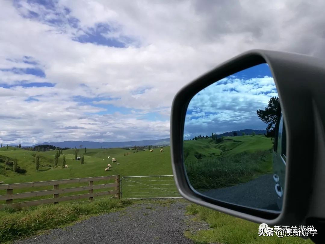 新西兰北岛自驾游攻略,新西兰北岛攻略3日行程规划