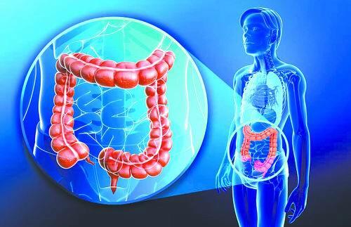 慢性乙肝经常放屁多是怎么回事,乙肝携带者老放屁是怎么回事