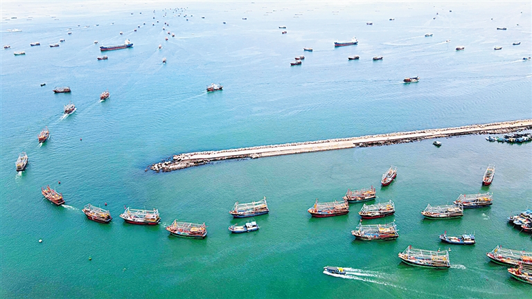 海南海边码头海鲜,海南海鲜开海