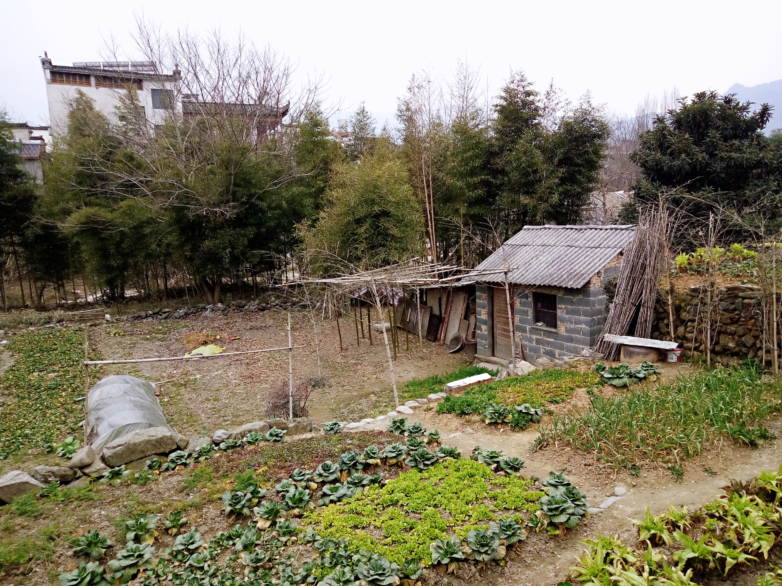 徽派村落宏村风景,山为牛头树为角的意思