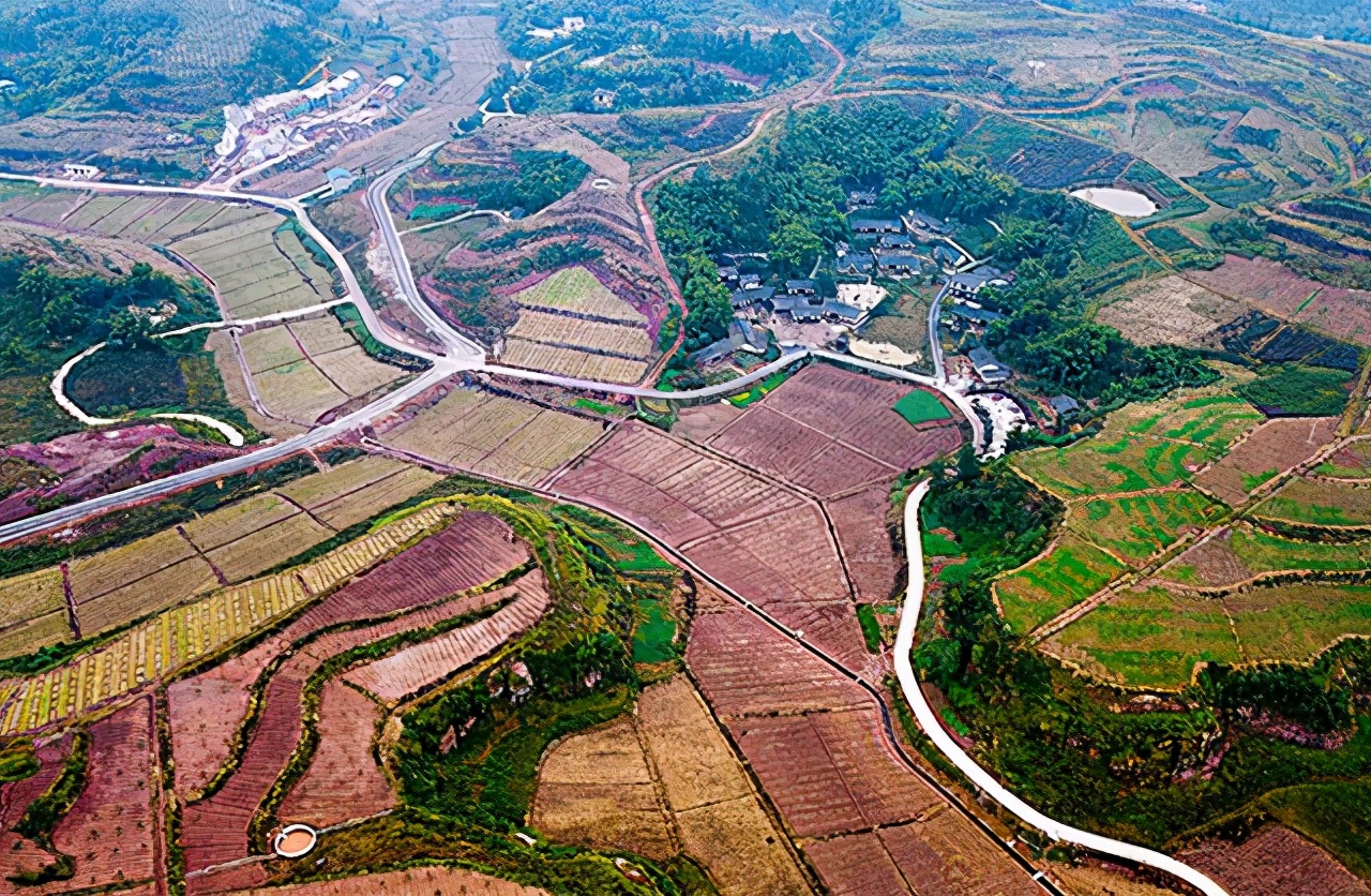 农村有4种生意悄然走红,农村五个赚钱行业