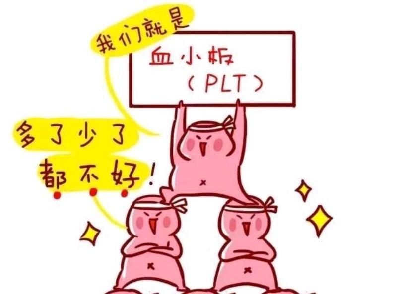 血小板低吃什么食物能升血小板快,血小板低吃什么补血小板效果最好