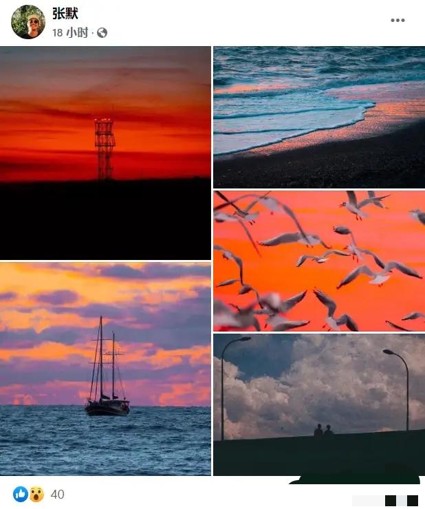 张默家暴事件完整版,张默与童瑶谈了几年恋爱