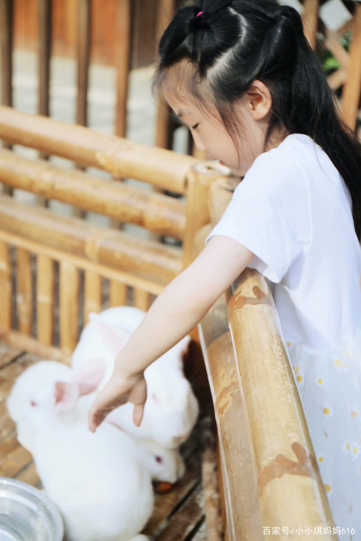 南京周边适合小众安静的旅行地,南京周边一天度假最好的地方