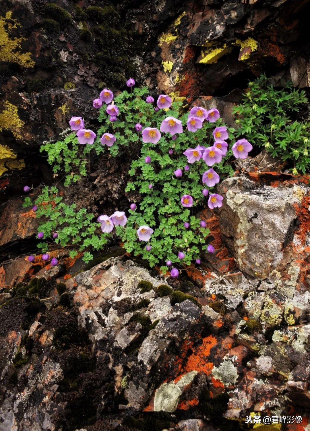 2018年最值得感动的时刻,对于2018你最大的收获是什么