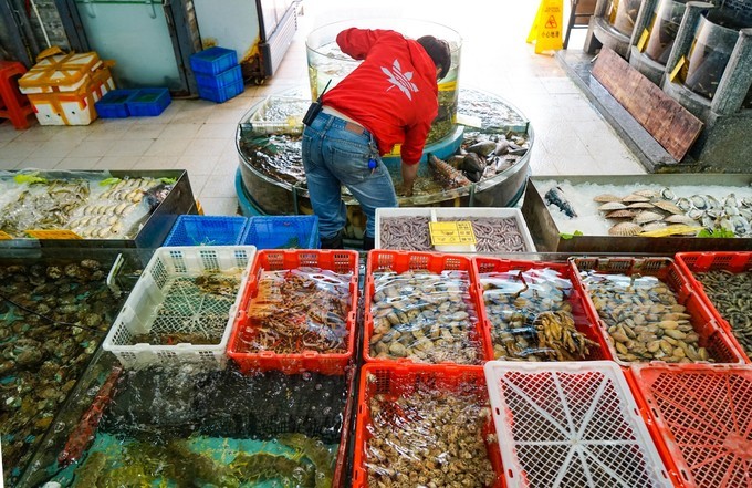 广东顺德美食旅游攻略学生,顺德自驾这份美食攻略要收好