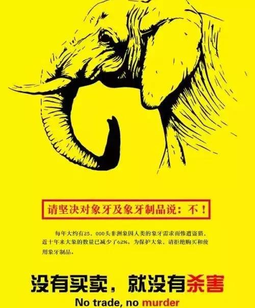 如何把一个产品营销出去,怎么营销产品效果会更好