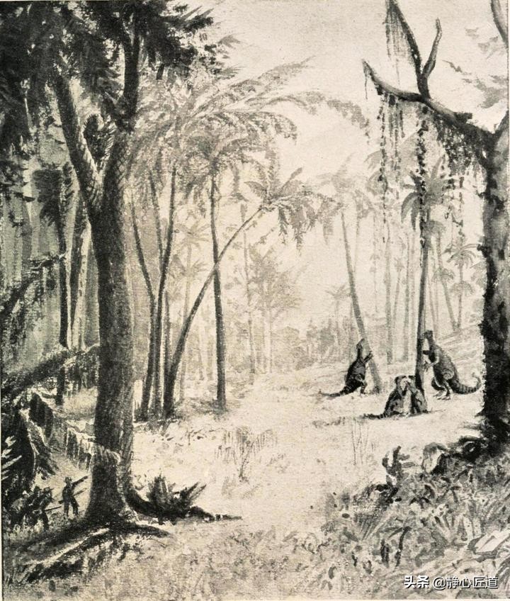 脑洞大开的玄幻科幻小说,脑洞大开宇宙科幻小说