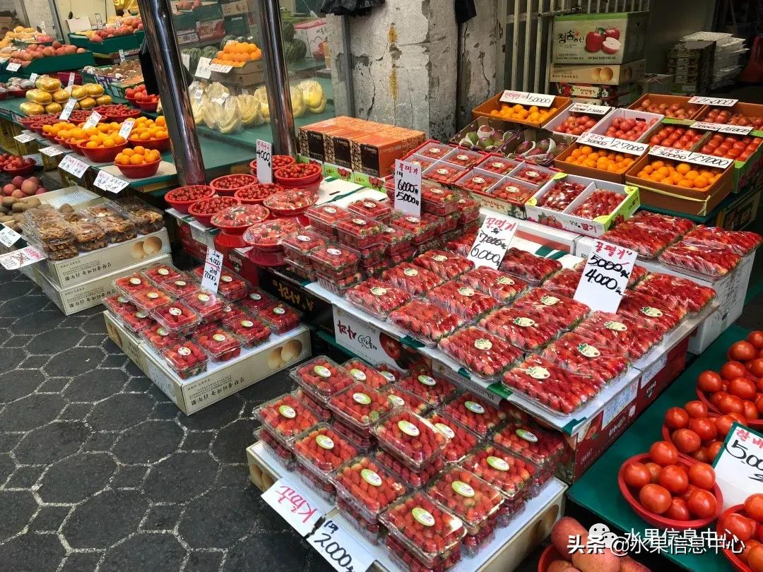 韩国水果批发市场进货渠道,韩国首尔最大的水果批发市场