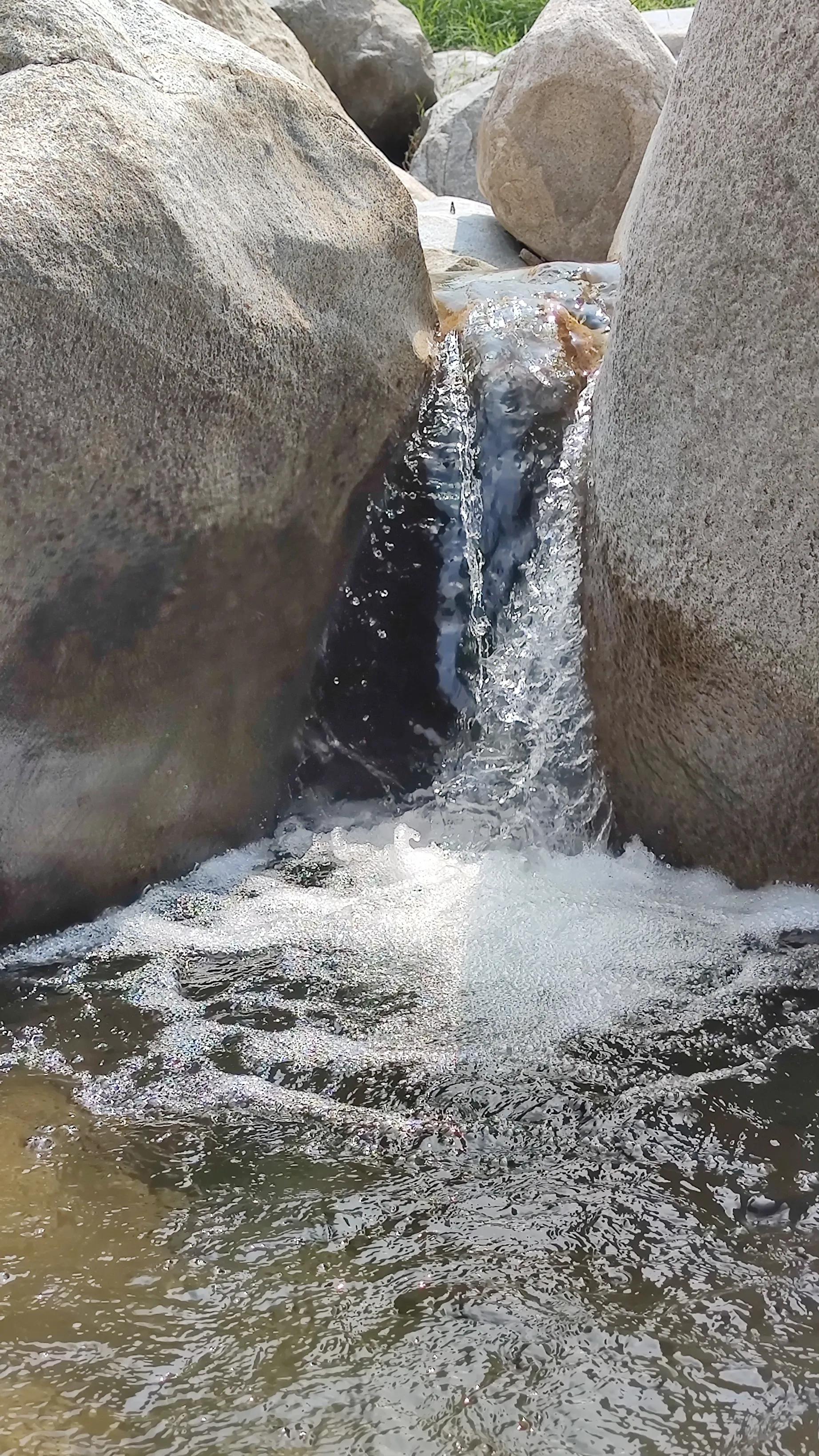 一朵花的守候——七峪沟纪行