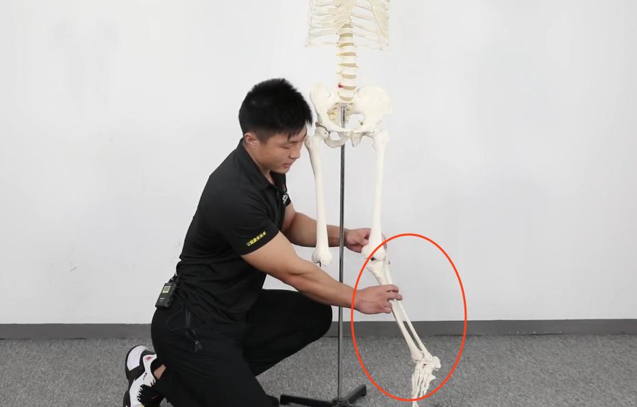 小腿外翻如何纠正和站立,小腿外翻如何调整