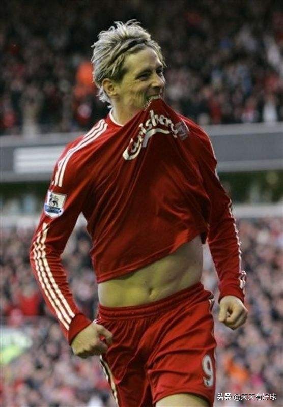 费尔南多托雷斯个人资料,费尔南多托雷斯经典时刻