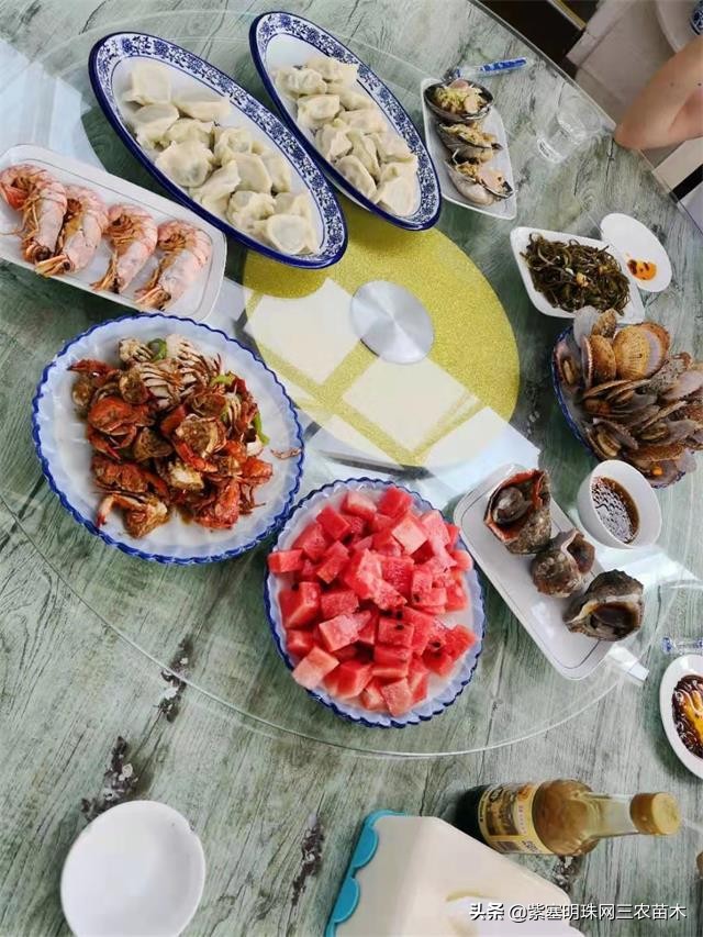 爱上一座城爱上一个人短视频,长岛大壮渔家民宿团购