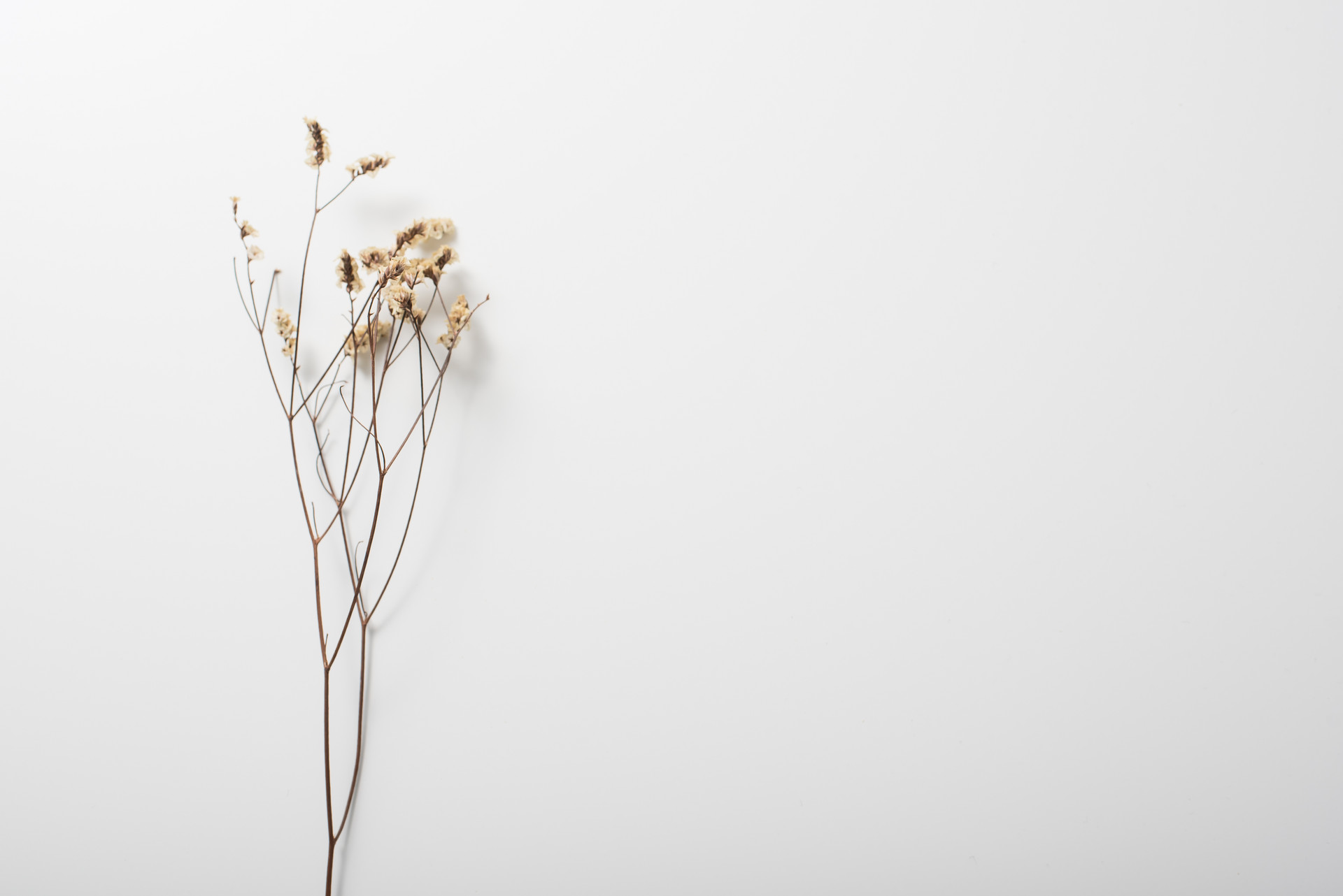 成大事之人必经人生之苦,不经历人生低谷怎么懂得人情世故