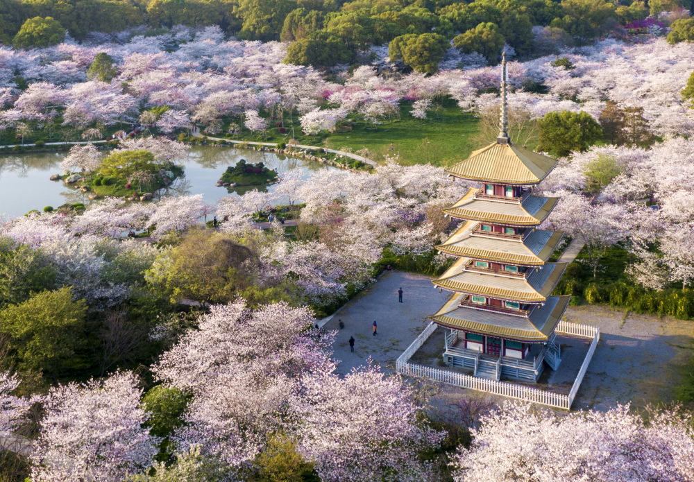 武汉战疫震撼时刻,武汉战疫的感悟与感动