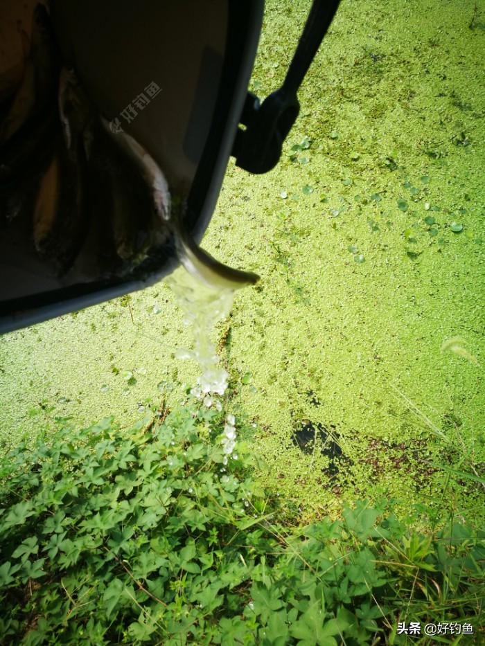 忙里偷闲的出来钓个鱼,忙里偷闲钓鱼