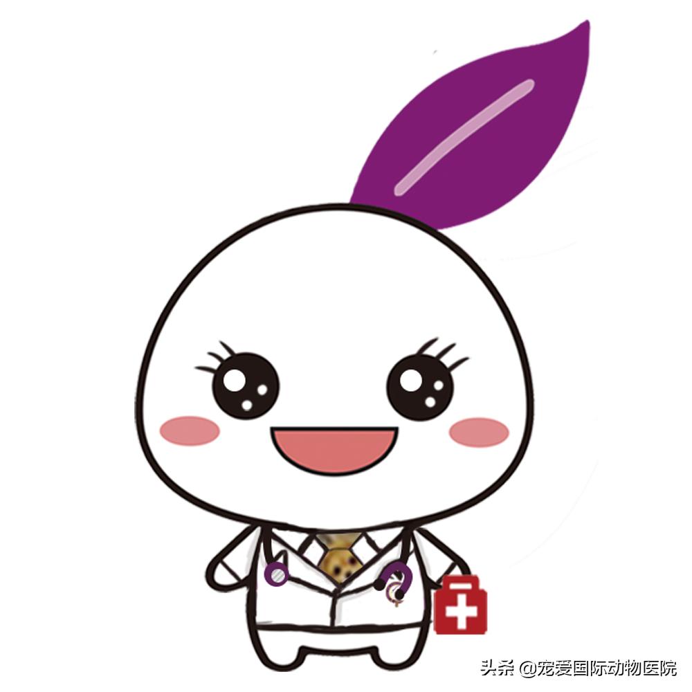 猫肥厚型心肌病的预防措施,猫肥厚型梗塞性心肌病