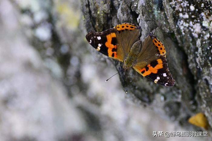 松下全画幅微单s1评测,松下s1全画幅微单拍摄视频
