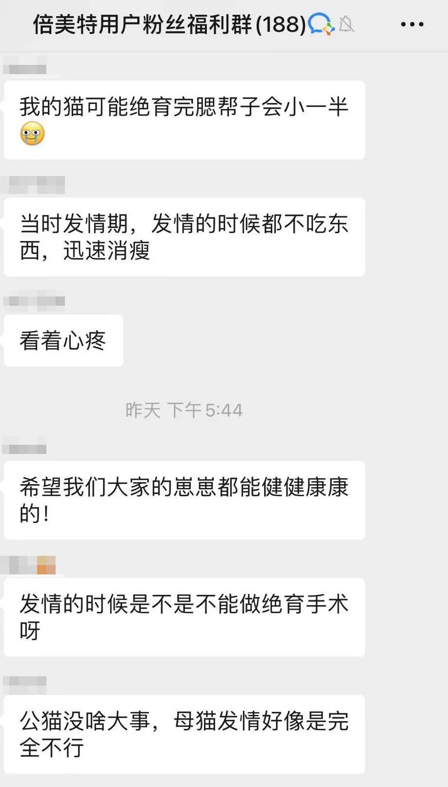 猫咪发情了怎么办？做好这些细节，你就是优秀铲屎官