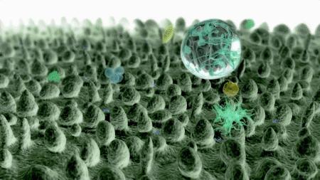 荷叶效应视频大全,荷叶效应原理运用在哪些方面