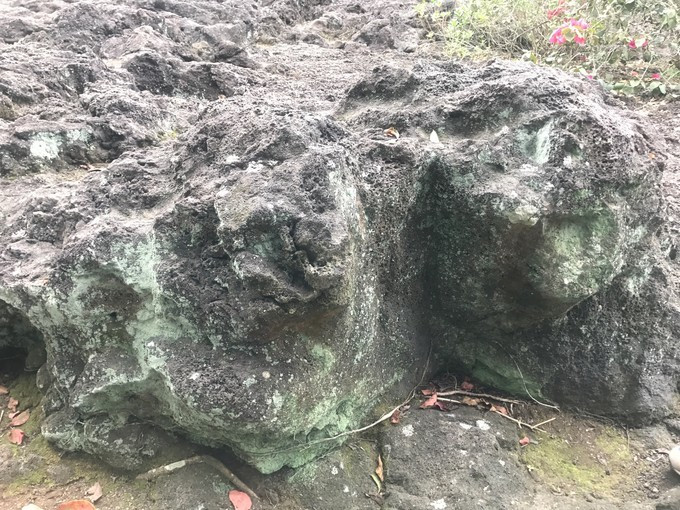 一家人海口旅游攻略,海口一家三口哪里好玩