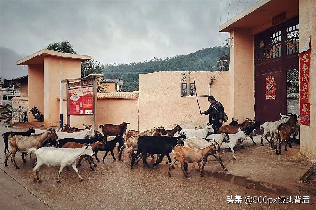 农村生活好环境好空气清新,农村乡村环境