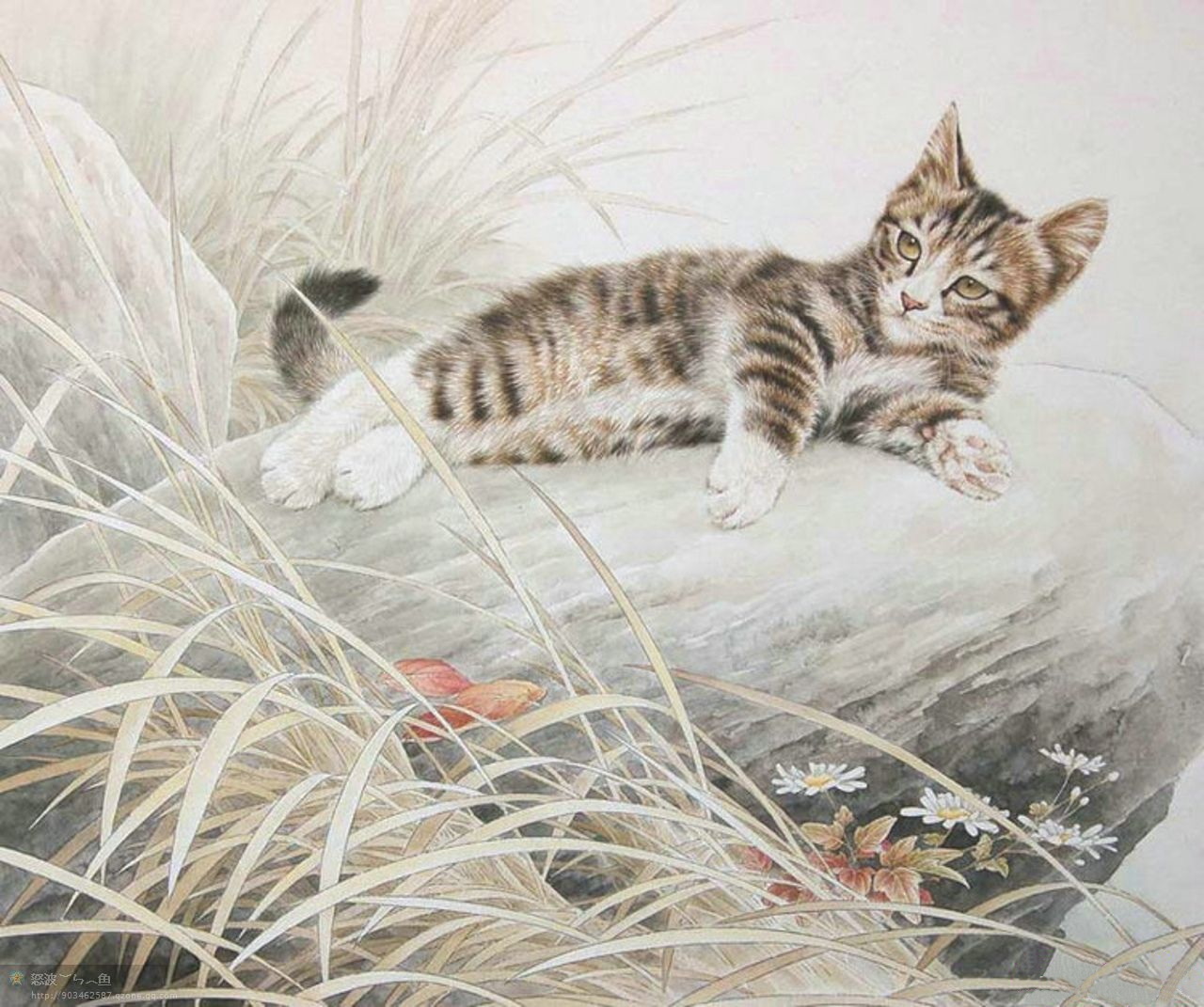 邢诚爱工笔画猫的图片,邢诚爱工笔画猫兔子高清大图