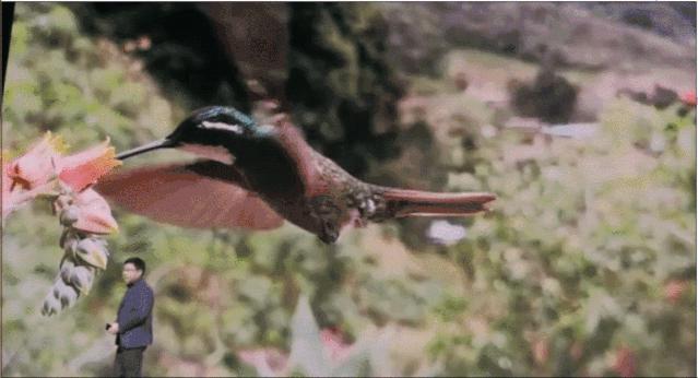 每秒7680帧慢拍！14根5G天线，华为Mate30发布，智慧屏也来了