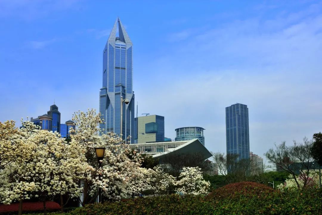 没学历在上海干什么可以挣15000,月薪不足5000的看过来