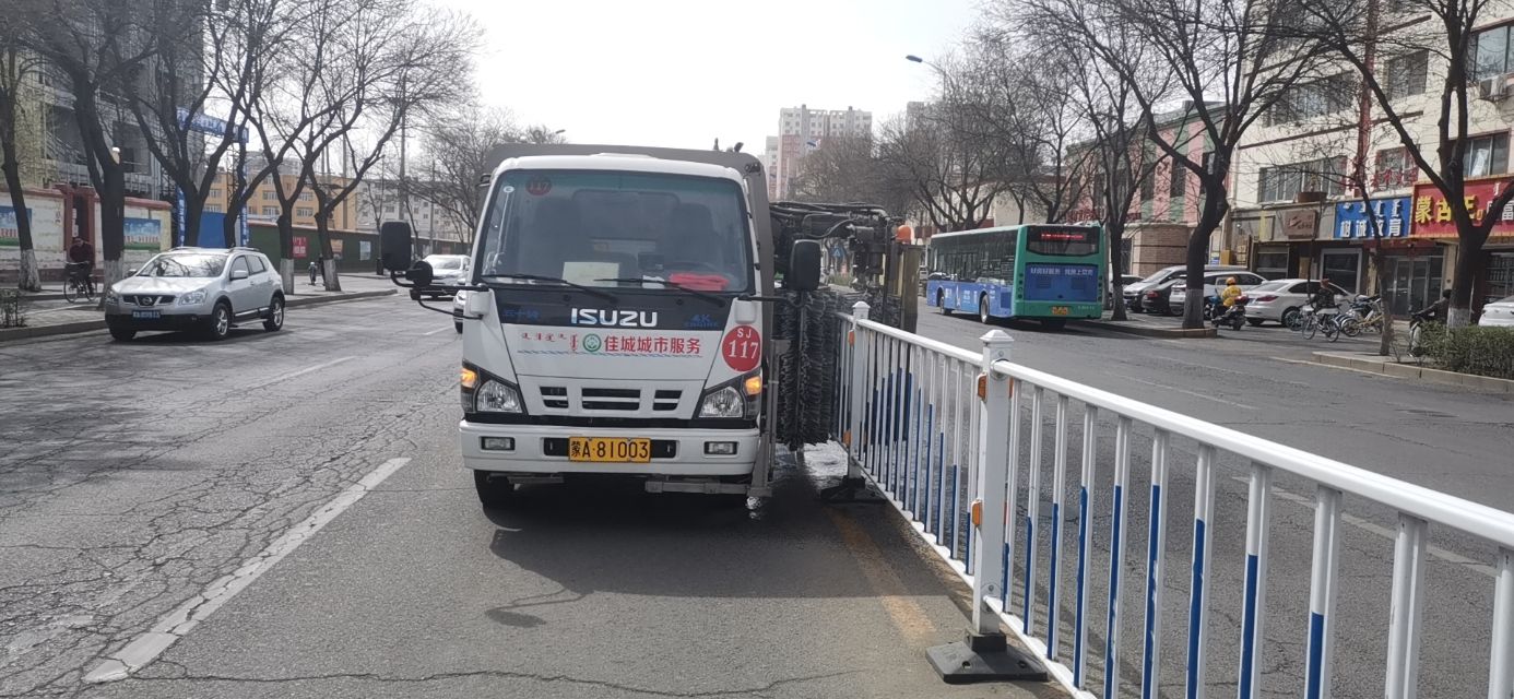 “城市黄玫瑰绽放新英姿”