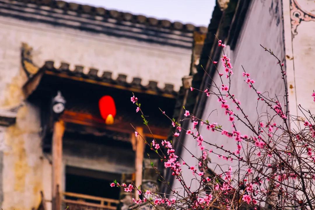 鑺辨湞鑺傝姳浠欏瓙,鑺辨湞鑺傝姳浠欏瓙宸℃父