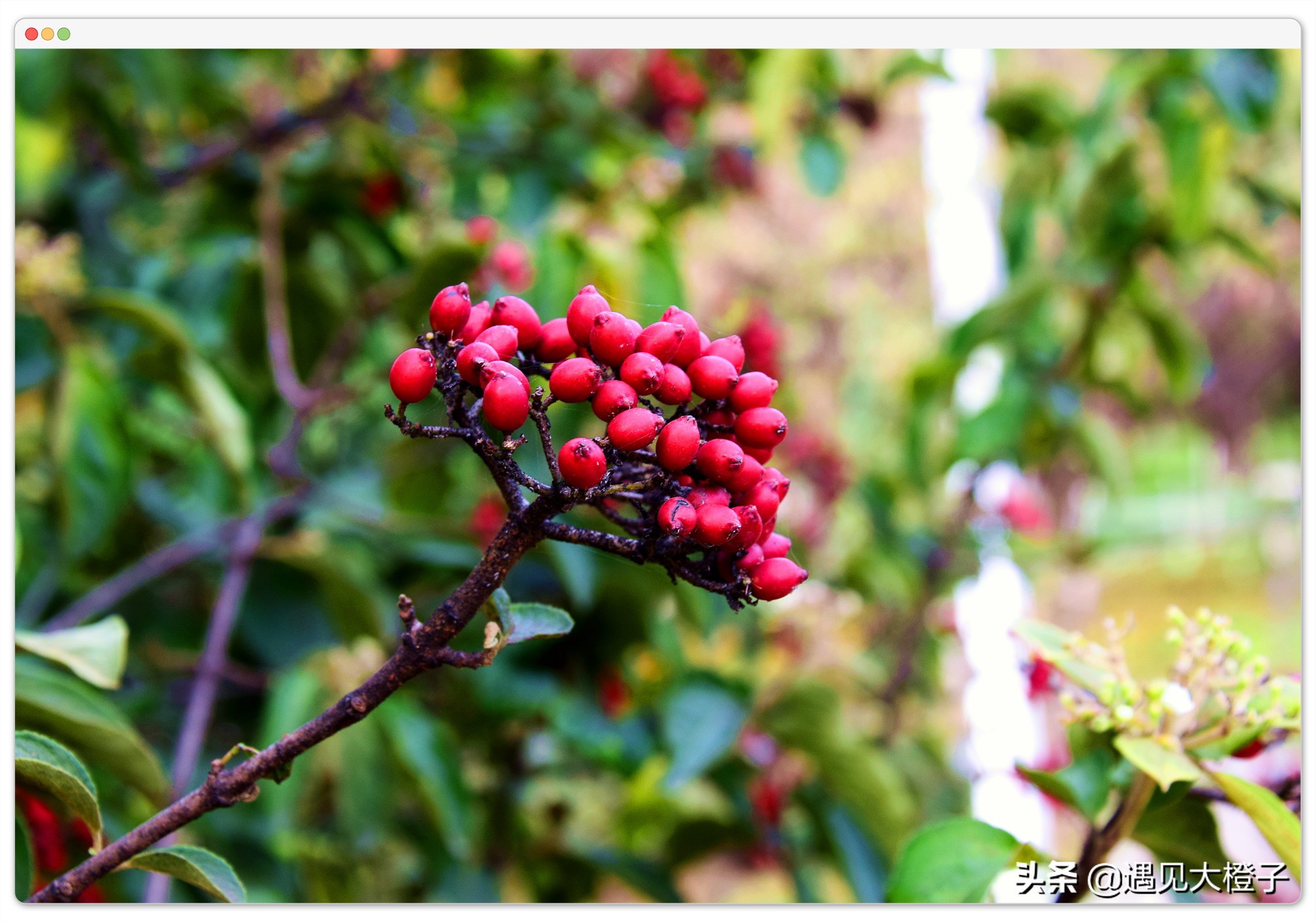 技术控的你，准备好收藏这些网站了吗？真的有必要了解一下