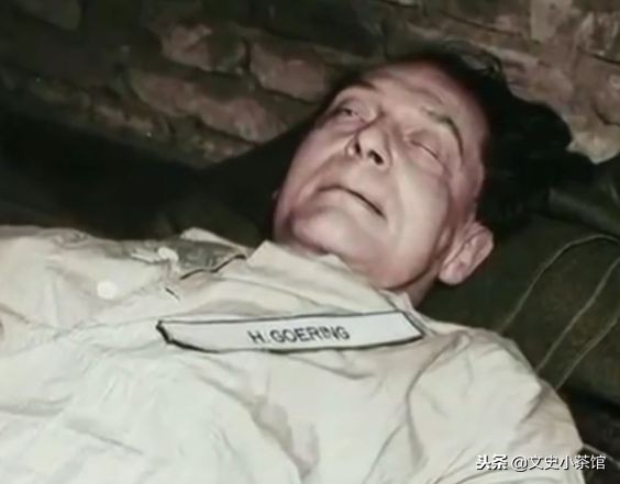 第三帝国元帅戈林的结局,帝国元帅戈林结局