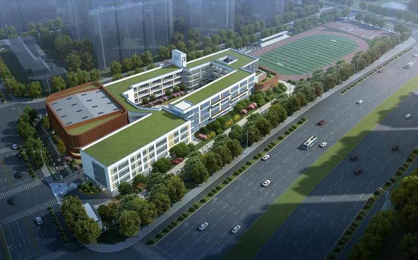 尖叫！苏州碾压一线城市，迎来高光时刻