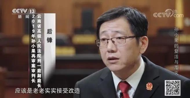 社会与法孙小果,社会评论孙小果