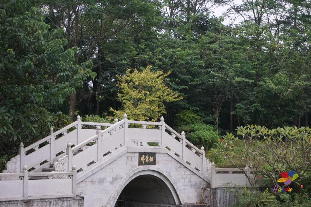 遇见狮岭真实视频,遇见狮子京剧